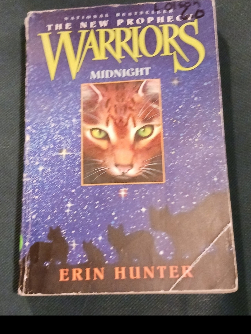 Warriors: Midnight (The New Prophecy)